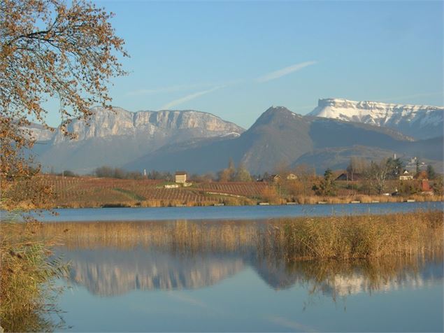 Vignobles du Granier et lac Saint-André - Savoie Mont Blanc - Lansard