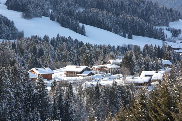 vue_chalets - mairie_de_megeve