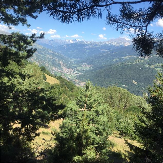 Sentier de l'eau Montgirod - La Plagne Vallée