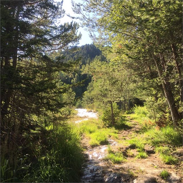 Sentier de l'eau Montgirod - La Plagne Vallée