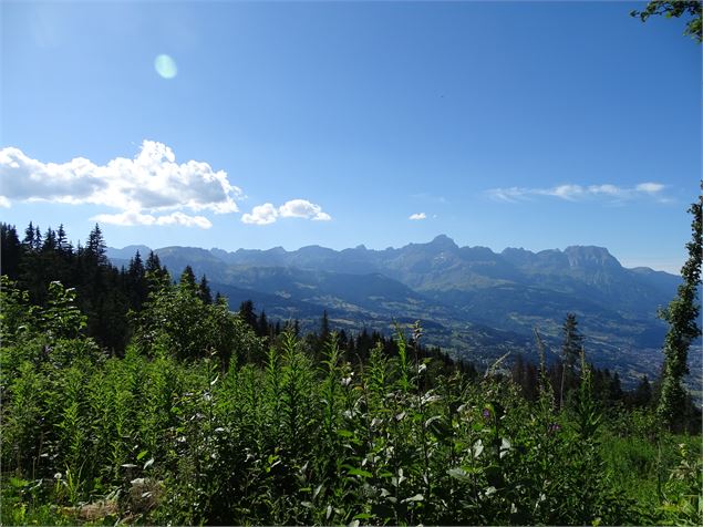 Chaine des Aravis - M. Mautué