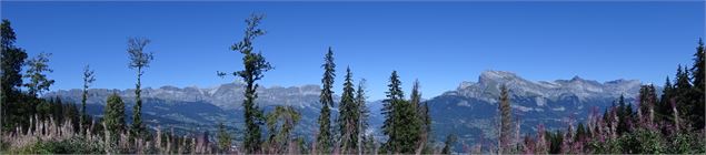 Panorama Les Aravis et les Fiz - M. Mautué