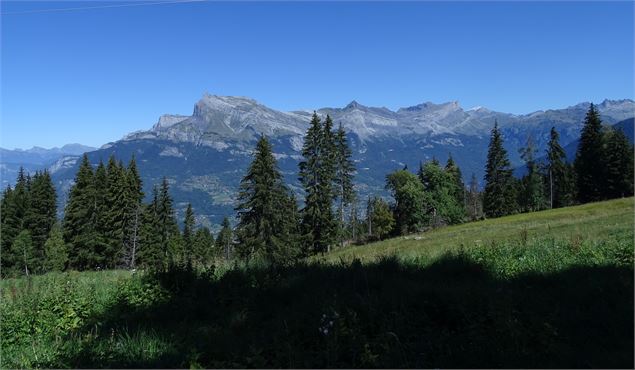 Vue des Fiz  des Grands Prés - M. Mautué