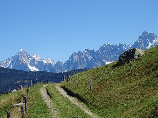 Chaine du Mont-Blanc - M. Mautué