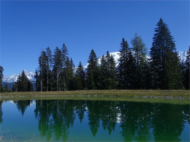 Lac de Chateluy - M. Mautué