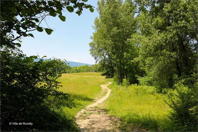 Sentier du Cincle - Office de Tourisme Rumilly-Albanais