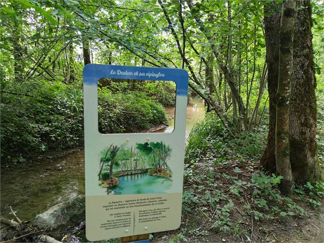 Sentier du Cincle - Office de Tourisme Rumilly-Albanais