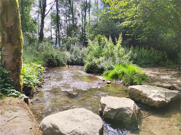 Sentier du Cincle - Office de Tourisme Rumilly-Albanais