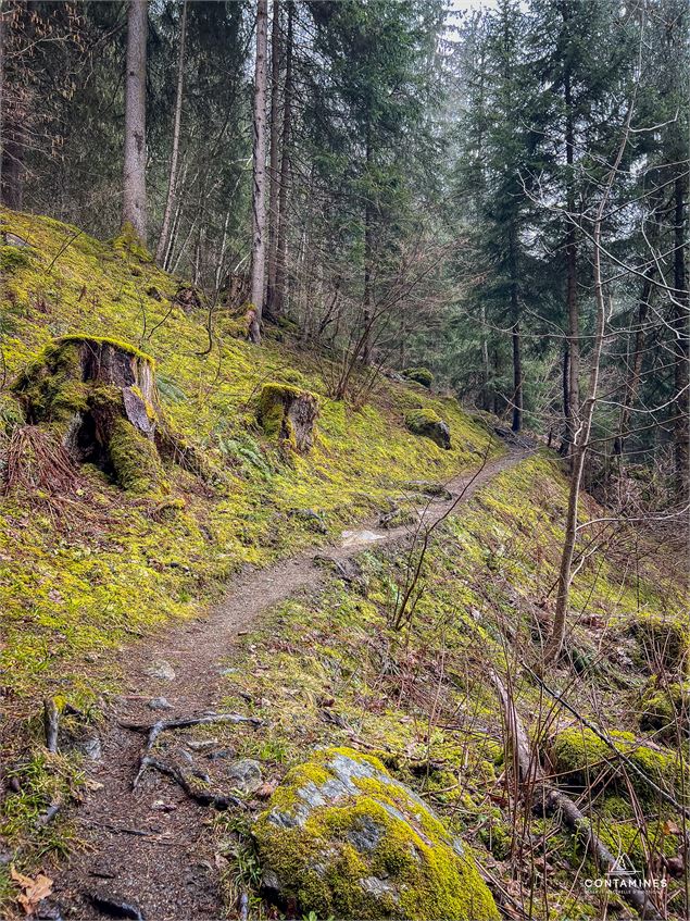 Boucle du Crey aux Contamines Montjoie