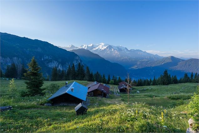 Lever de soleil sur le Mt Blanc depuis le Grand tour des Ayères