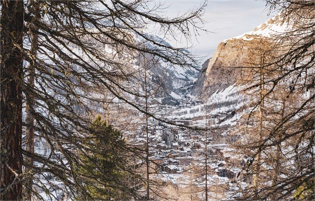 Ecureuil vue village - Val d'Isère Téléphériques / Maxime Bouclier