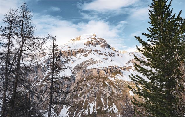 Ecureuil vue - Val d'Isère Téléphériques / Maxime Bouclier