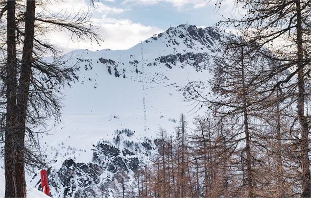 Ecureuil vue bellevarde - Val d'Isère Téléphériques / Maxime Bouclier