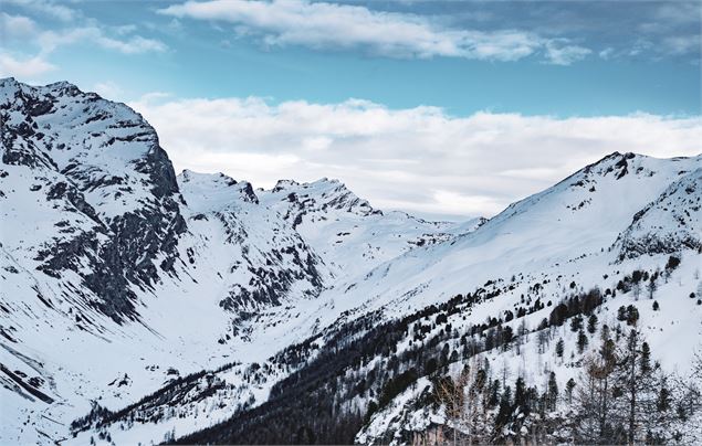 Ecureuil vue iseran - Val d'Isère Téléphériques / Maxime Bouclier