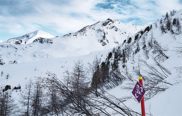 Ecureuil vue fornet - Val d'Isère Téléphériques / Maxime Bouclier