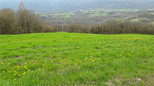 Plateau agricole