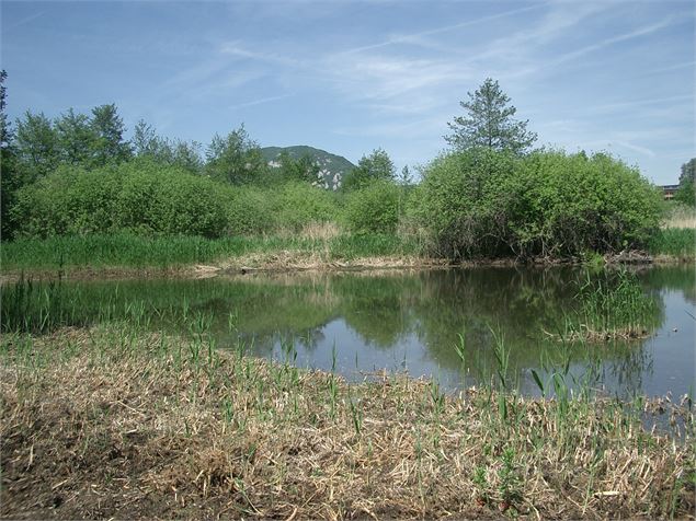 Marais de Poisy - Mairie de Poisy / B. Sarrazin