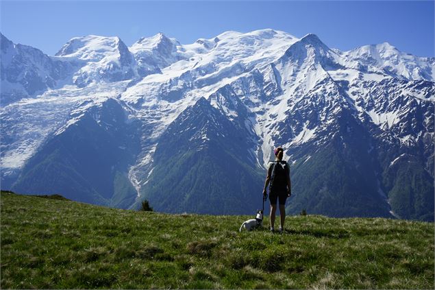 Chalets de Chailloux - Les Houches - Office de Tourisme Vallée de Chamonix Mont-Blanc - MR