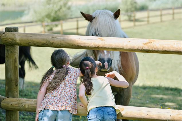 animations enfants à la ferme de Bozzi - Elodie Seuillerot