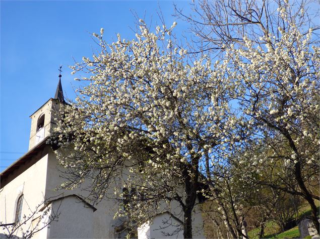 eglise de peisey - mnpc