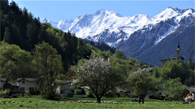 Circuit des poussettes - MNPC