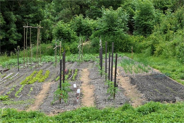 Voie verte - Circuit des Poussettes - MNPC