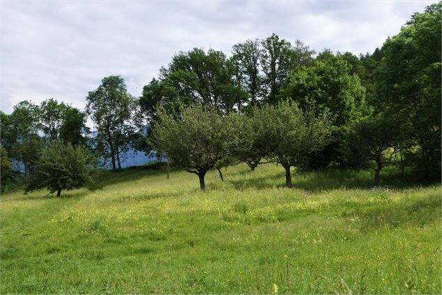 Voie verte - Circuit des Poussettes - MNPC