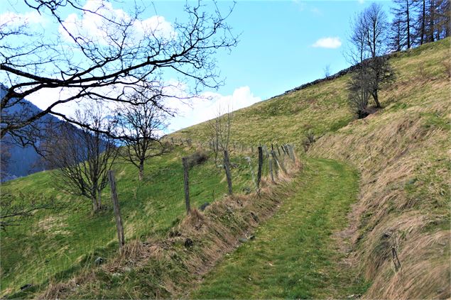 Sentier des noisettes - MNPC