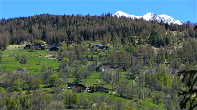 Sentier des noisettes - MNPC