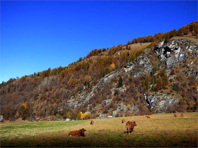 Sentier des noisettes - MNPC