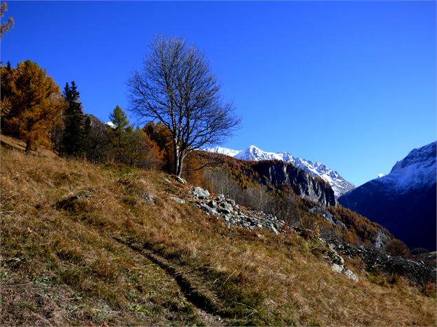 Sentier des noisettes - MNPC