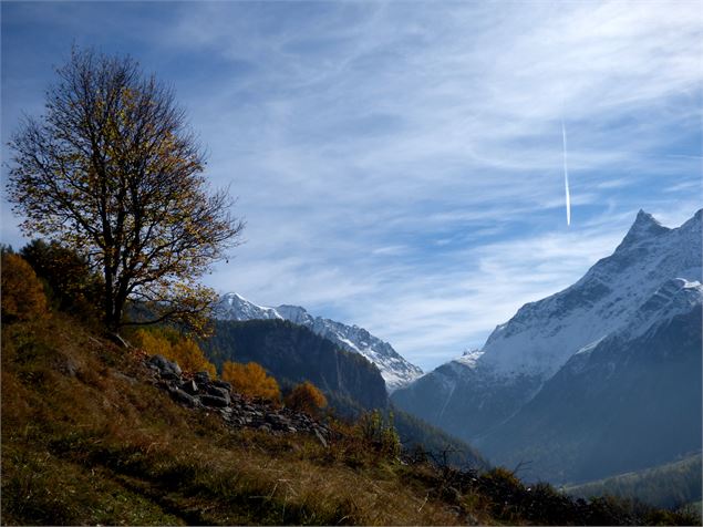 Sentier des noisettes - MNPC