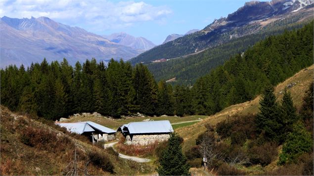 Le thovex - les Bauches - Parmain - MNPC