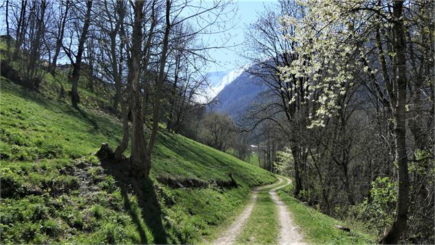 Moulin - Le Villaret par la Tachonière - MNPC