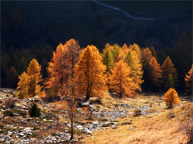 combe du Trovet