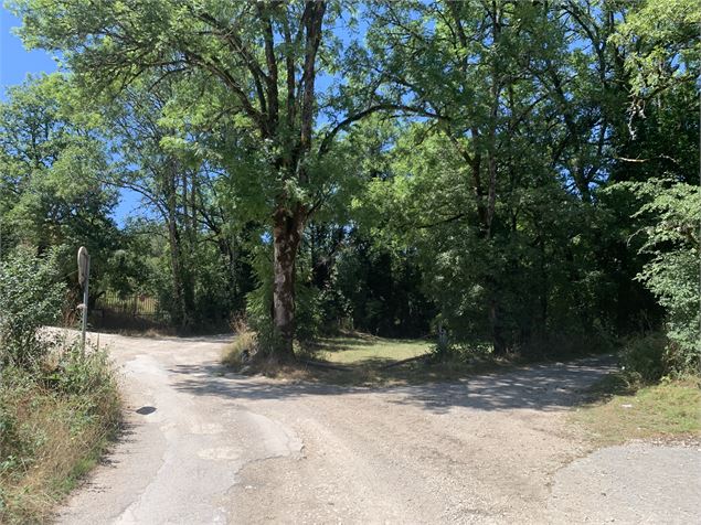 Le sentier du Bois de Ban - Maxime Michel