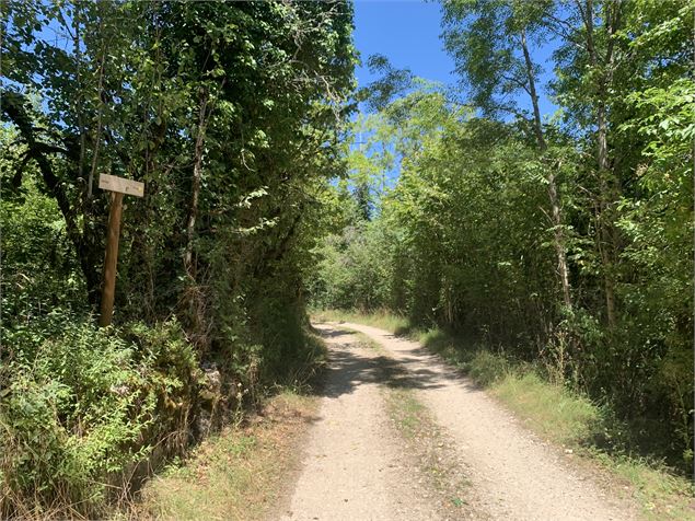 Le sentier du Bois de Ban - Maxime Michel