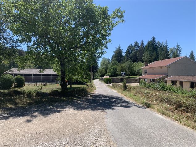 Le sentier du Bois de Ban - Maxime Michel