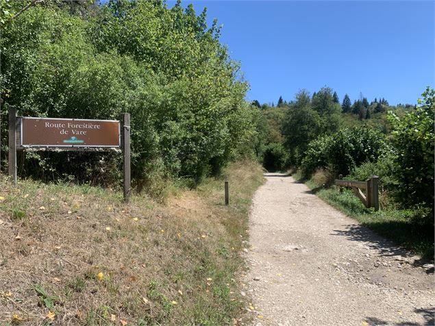 Le sentier du Bois de Ban - Maxime Michel