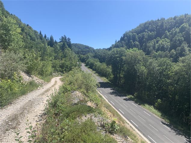 Le sentier du Bois de Ban - Maxime Michel