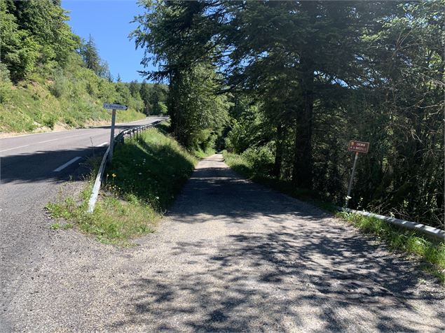 Le sentier du Bois de Ban - Maxime Michel