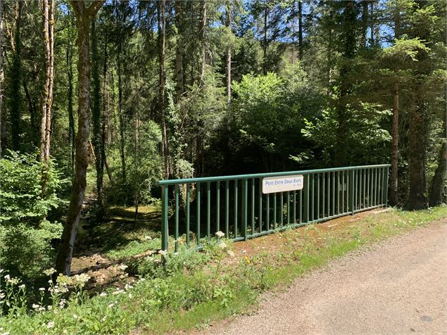 Le sentier du Bois de Ban - Maxime Michel