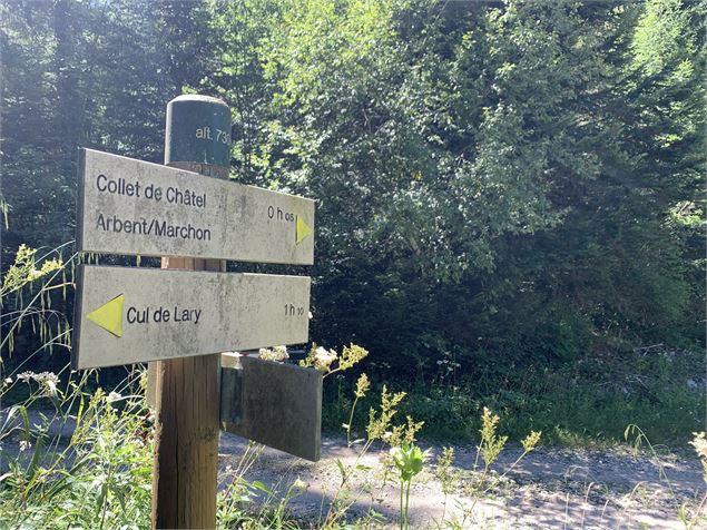 Le sentier du Bois de Ban - Maxime Michel