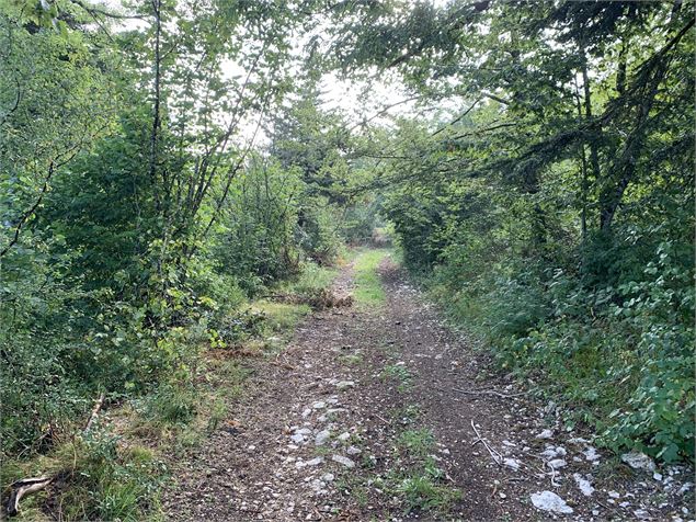 Chemin du sentier du Macretet - Maxime Michel