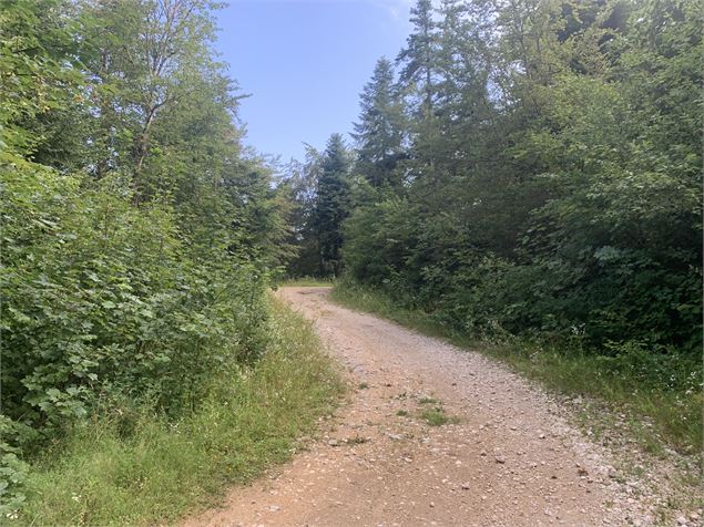 Chemin du sentier du Macretet - Maxime Michel