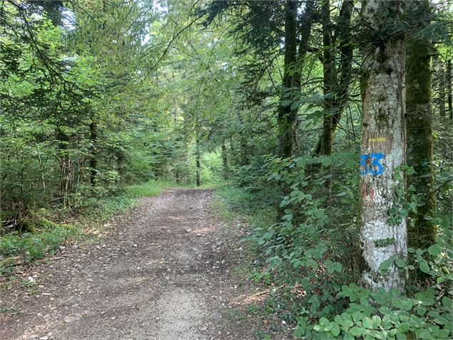 Chemin du sentier du Macretet - Maxime Michel