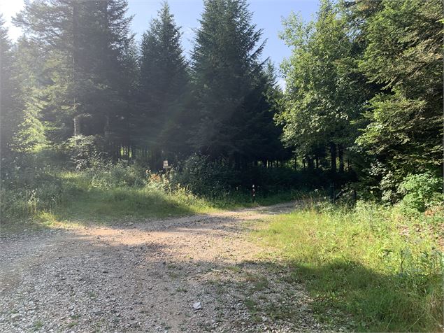 Carrefour du sentier du Macretet - Maxime Michel