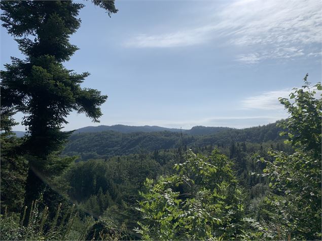 Point de vue - Maxime Michel