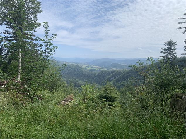 Point de vue - Maxime Michel