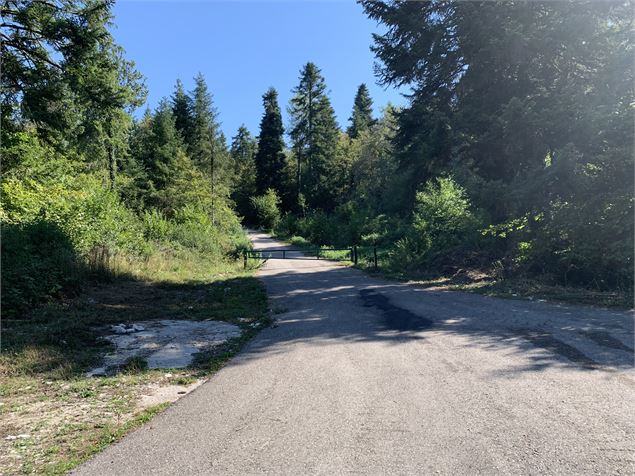 Sortie sur une route goudronnée - Maxime Michel